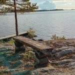 Rantakuva Oravaisista (seiplax-oravainen)